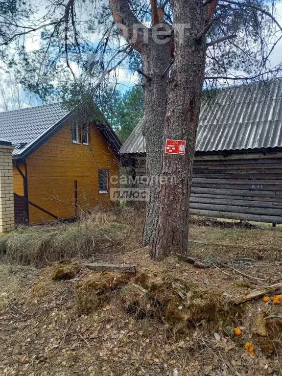 Участок в Костромская область, Костромской район, Кузнецовское с/пос, ... - Фото 2