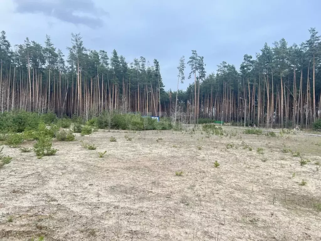 Участок в Белгородская область, Белгородский муниципальный округ, с. ... - Фото 1