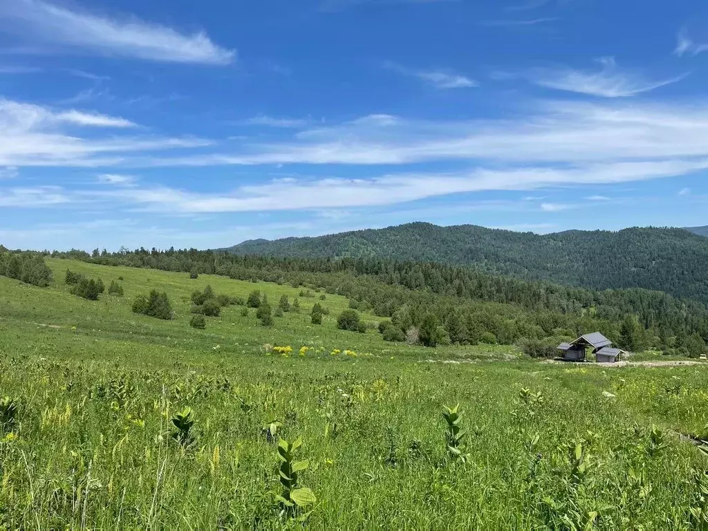 Участок в Алтай, Чемальский район, Седьмое небо кп  (28.07 сот.) - Фото 0