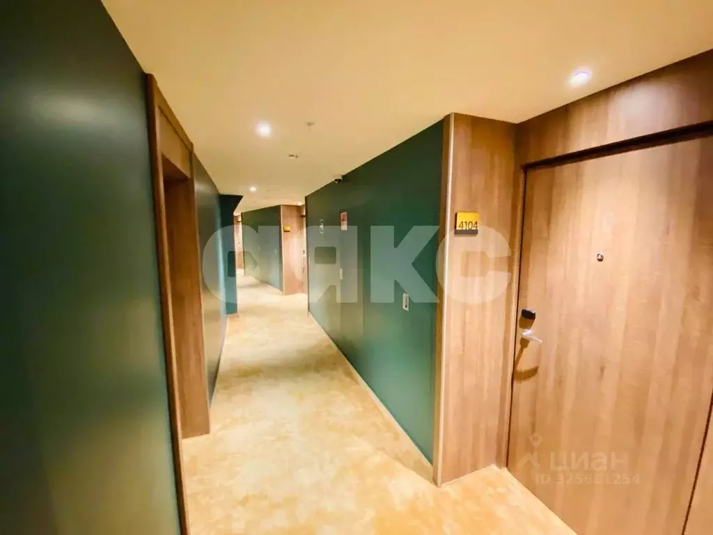 Студия Краснодарский край, Сочи городской округ, Дагомыс пгт ул. ... - Фото 2