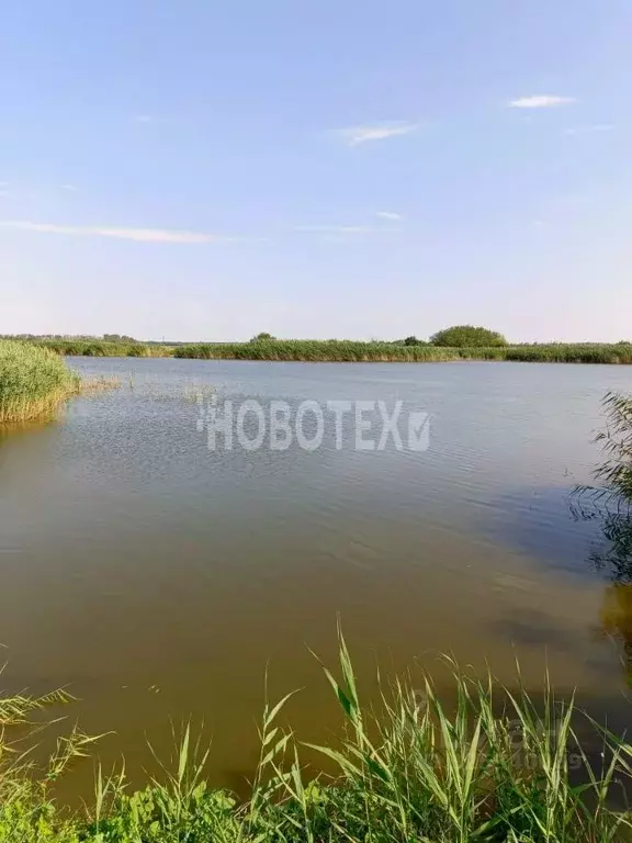 Участок в Краснодарский край, Каневское с/пос, Бурсаки хут.  (40.54 ... - Фото 1