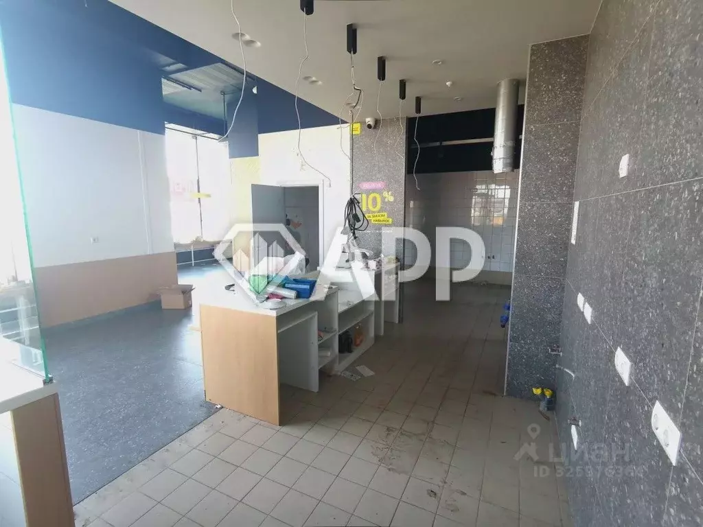 Помещение свободного назначения в Краснодарский край, Новороссийск ... - Фото 2