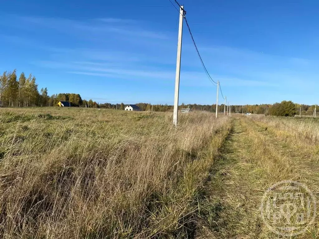 Участок в Ленинградская область, Ломоносовский район, Низинское с/пос, ... - Фото 2