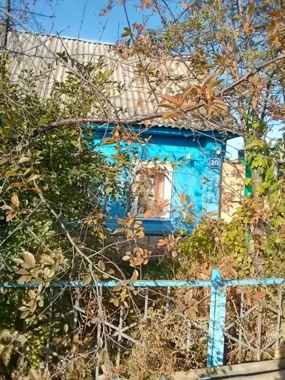 Дом в Оренбургская область, Тоцкий сельсовет, с. Тоцкое ул. ... - Фото 2