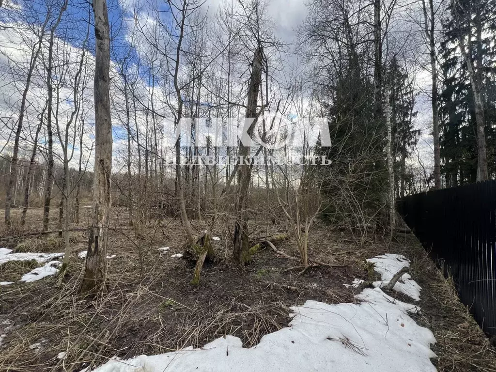 Участок в Московская область, Мытищи городской округ, д. Голенищево ... - Фото 1
