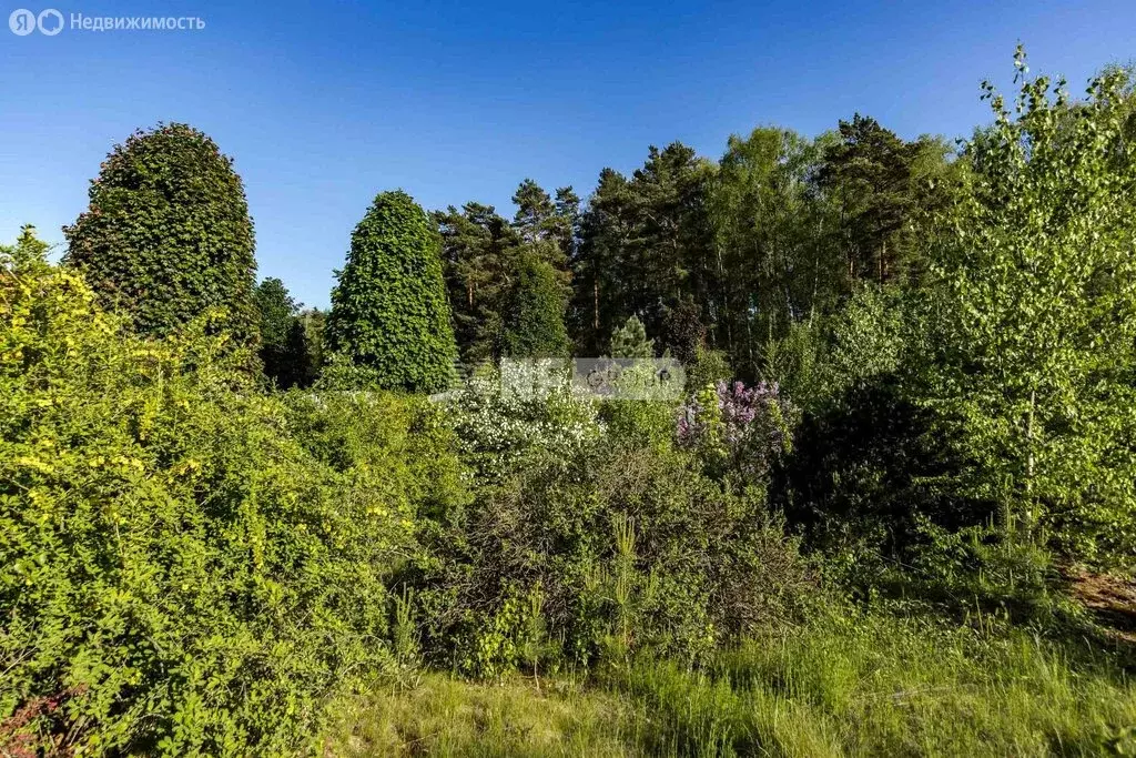 Участок в деревня Аносино, КП Белая гора-1 (23 м) - Фото 1