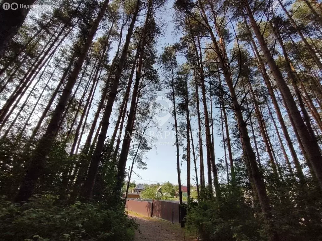 Дом в Рыбинск, СНТ Дружба-Слип, 143 (20 м) - Фото 2