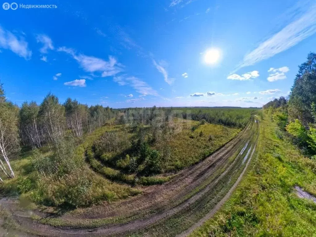 Участок в Тюменский муниципальный округ, Старый Московский тракт (7 м) - Фото 2