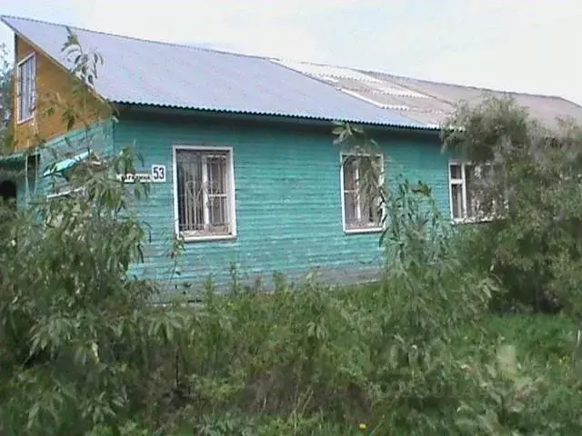 Помещение свободного назначения в Вологодская область, с. Тарногский ... - Фото 2