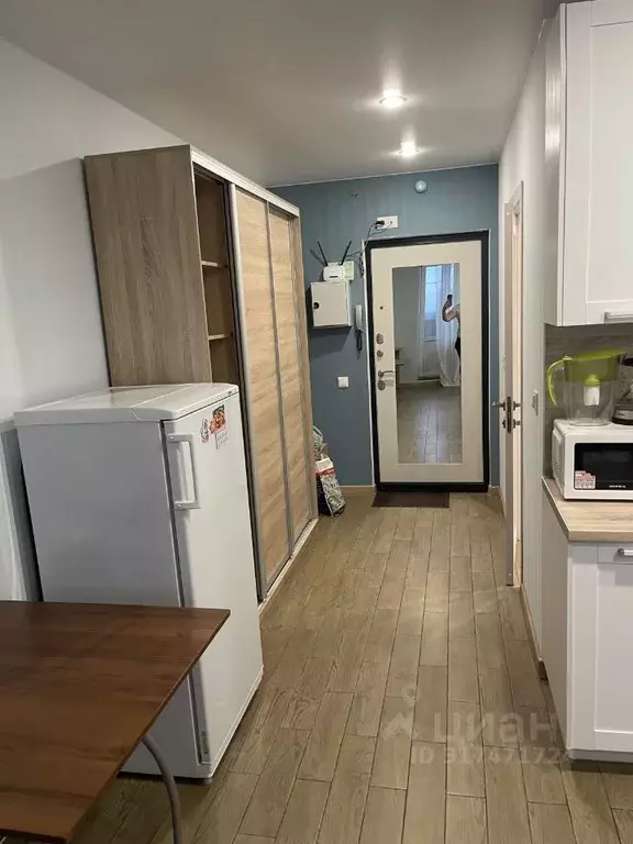 Студия Санкт-Петербург пос. Шушары, Московское ш., 258к1 (28.1 м) - Фото 0