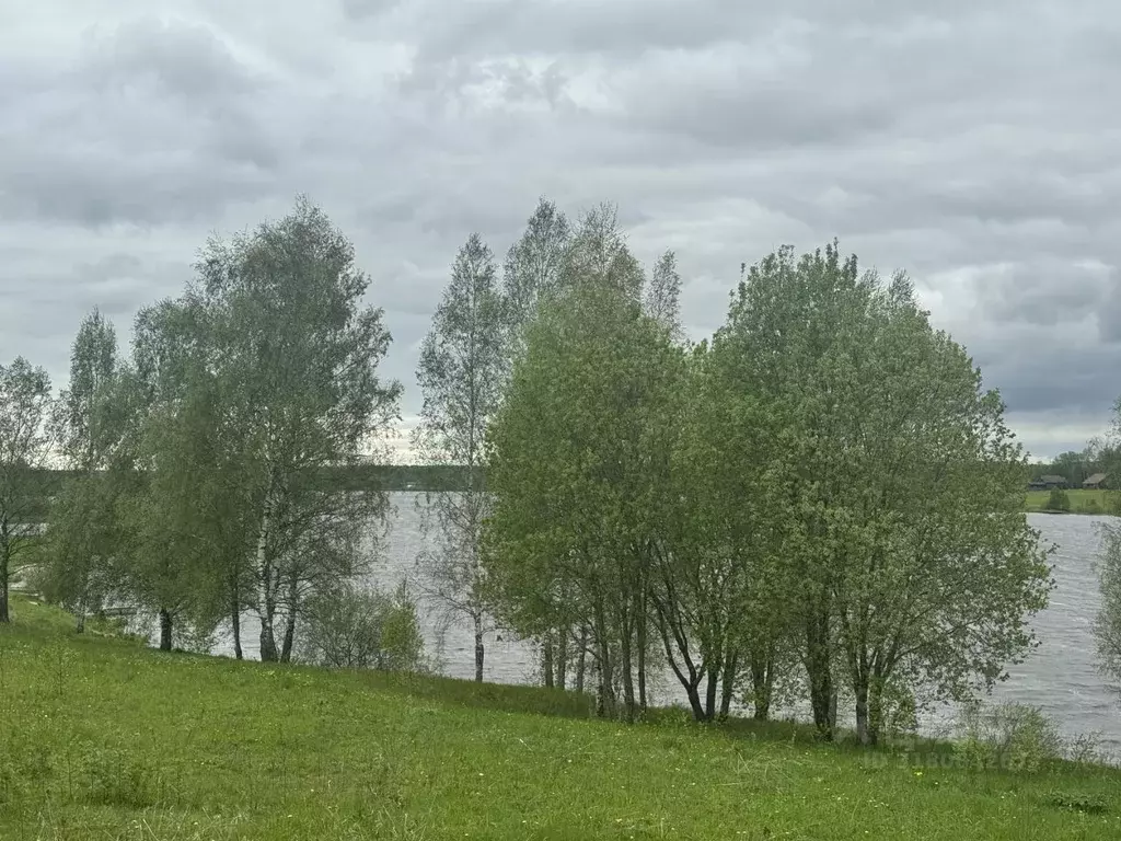 Участок в Московская область, Можайский муниципальный округ, ... - Фото 0