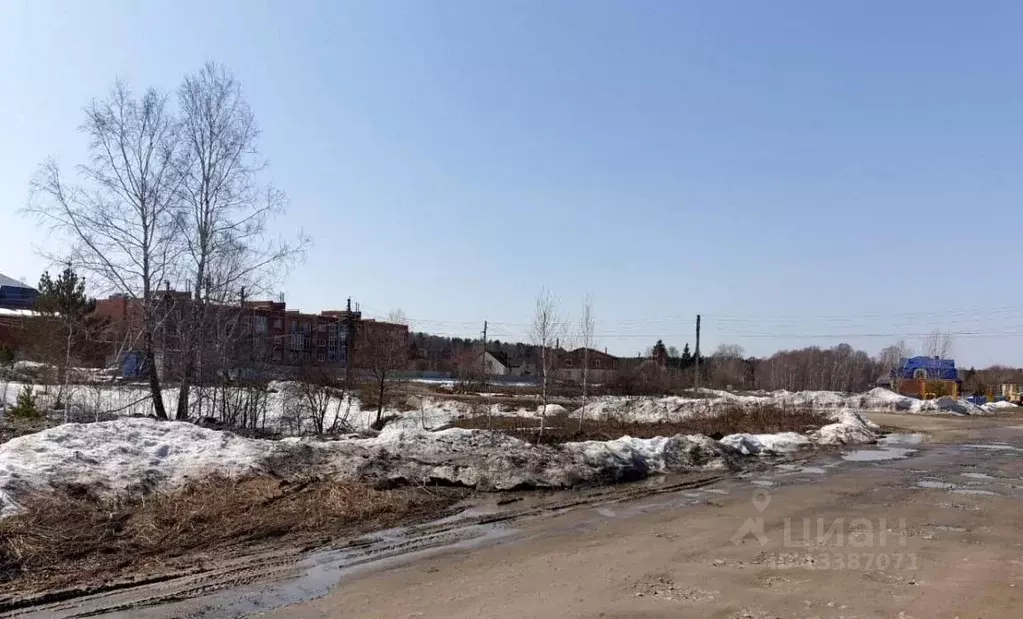 Поселок красный адуй. Днт шуманка новосибирск берег моря. Земля в новосибирске. Земля в новосибирске. Земля в новосибирске.