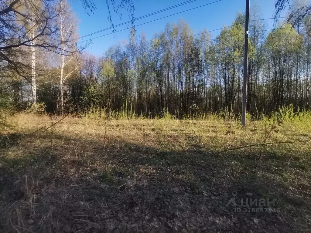 Участок в Владимирская область, Суздальский район, с. Новоалександрово ... - Фото 1