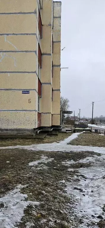 3-к кв. Ленинградская область, Волосовский район, Бегуницкое с/пос, ... - Фото 1