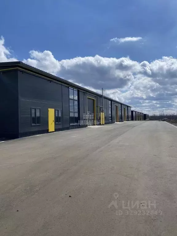 Производственное помещение в Воронежская область, Новоусманский район, ... - Фото 2