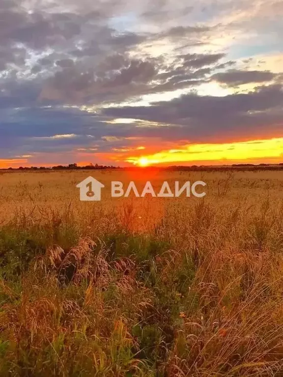 Участок в Иркутская область, Иркутск Автомобилист СНТ, ул. Мичурина ... - Фото 1