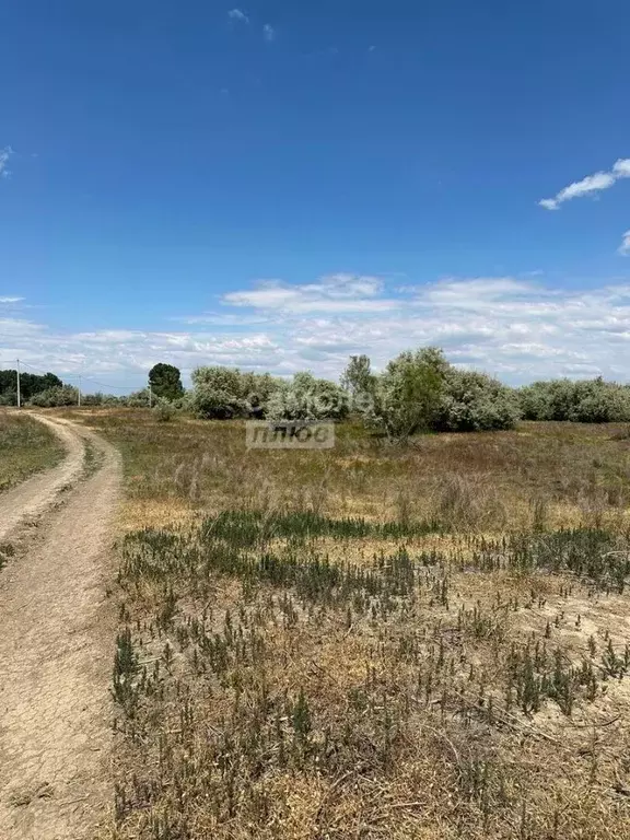 Участок в Астраханская область, Наримановский район, с. Тулугановка ... - Фото 0