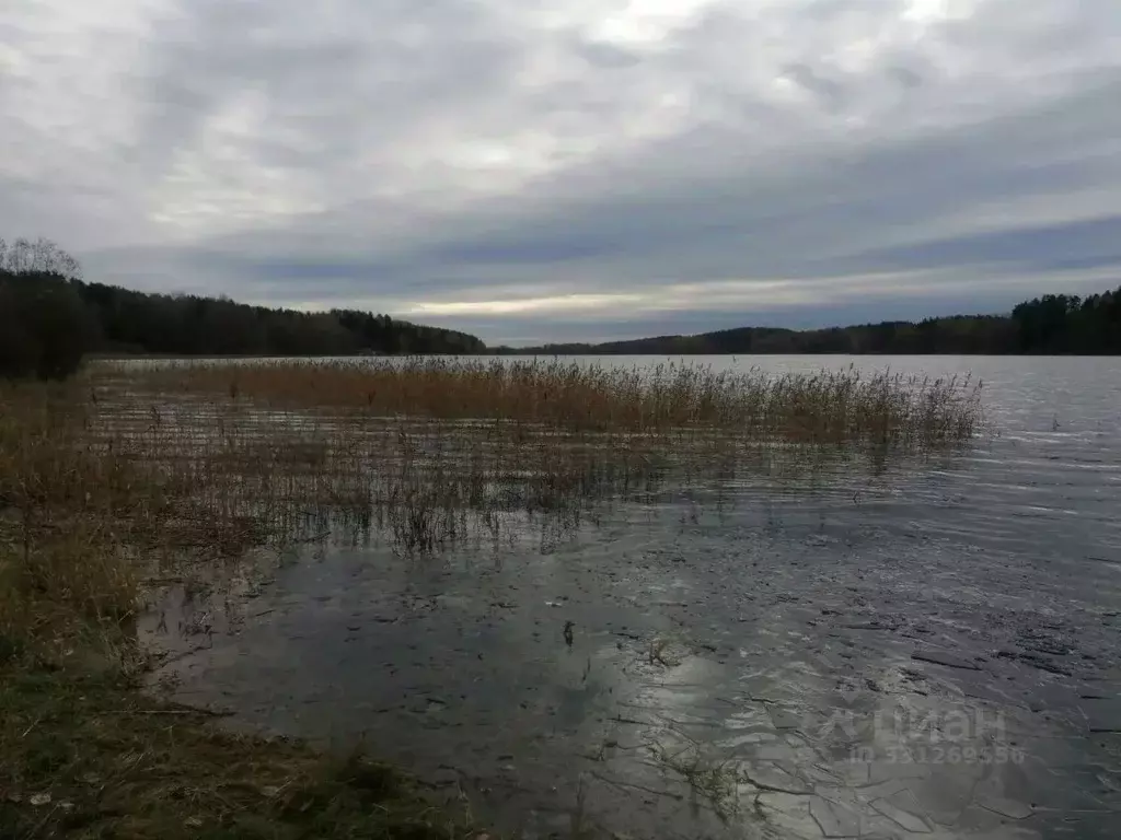 Участок в Ленинградская область, Выборгский район, Каменногорское ... - Фото 2