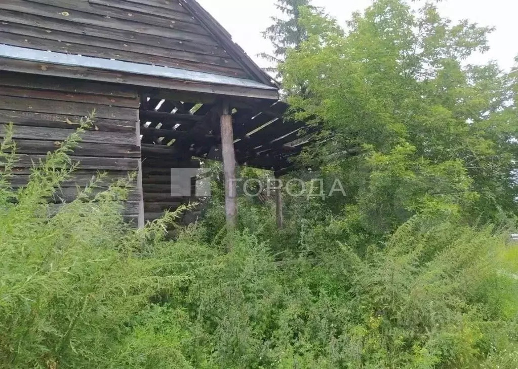 Участок в Алтайский край, Первомайский район, с. Бобровка ул. ... - Фото 1