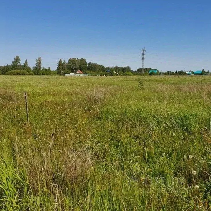 Участок в Курганская область, Курган  (15.75 сот.) - Фото 1