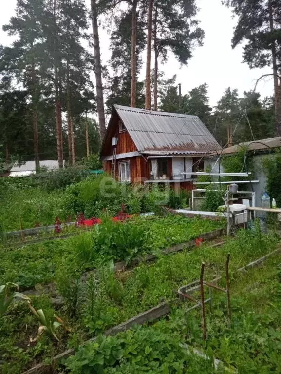 Дом в Свердловская область, Екатеринбург Шувакишский СНТ, 26 (20 м) - Фото 0