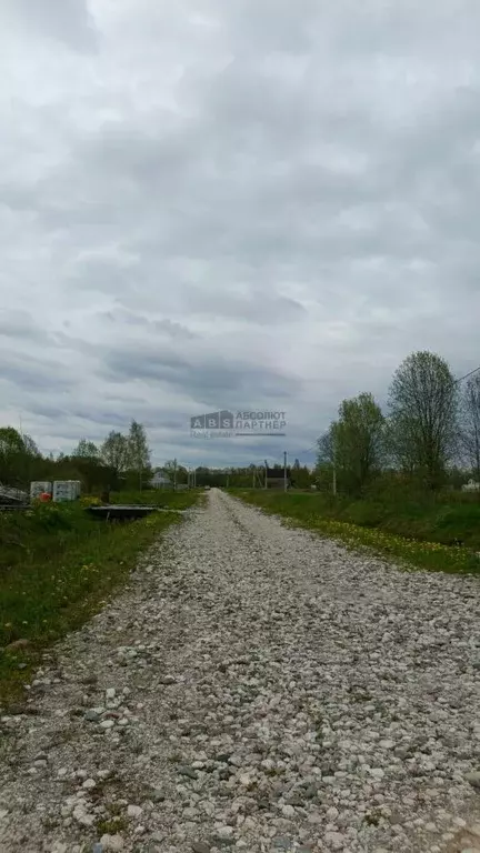 Участок в Новгородская область, Новгородский район, Ермолинское с/пос, ... - Фото 1