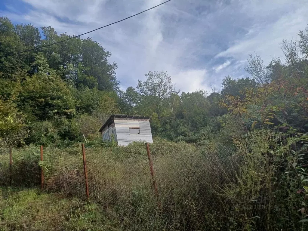 Участок в Краснодарский край, Сочи Северная Пальмира СТ, 27/1 (7.0 ... - Фото 1