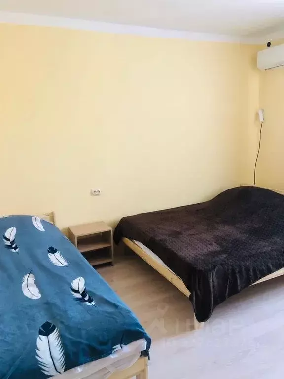 Комната Краснодарский край, Сочи ул. Ленина, 219/5Д - Фото 2