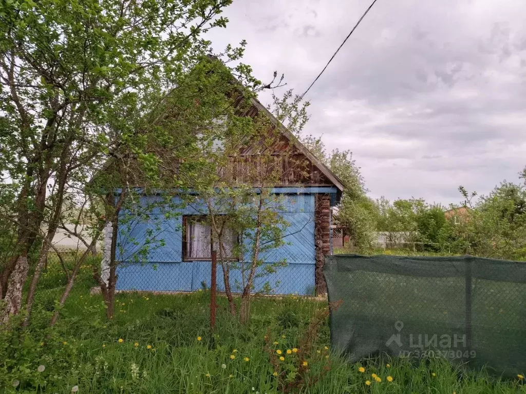 Дом в Псковская область, Островский муниципальный округ, Бережанская ... - Фото 1