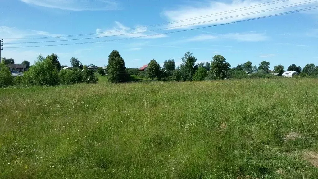 Участок в Владимирская область, Александровский район, Каринское ... - Фото 1