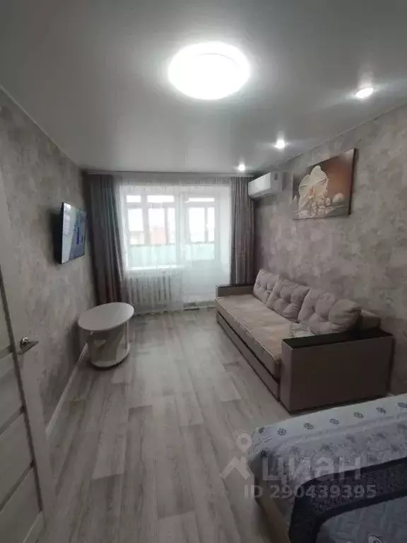 1-к кв. Тюменская область, Ишим ул. Большая Садовая, 22 (31.0 м) - Фото 1