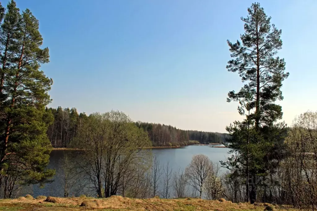 Участок в Карелия, Лахденпохский муниципальный округ, пос. Лумиваара  ... - Фото 1