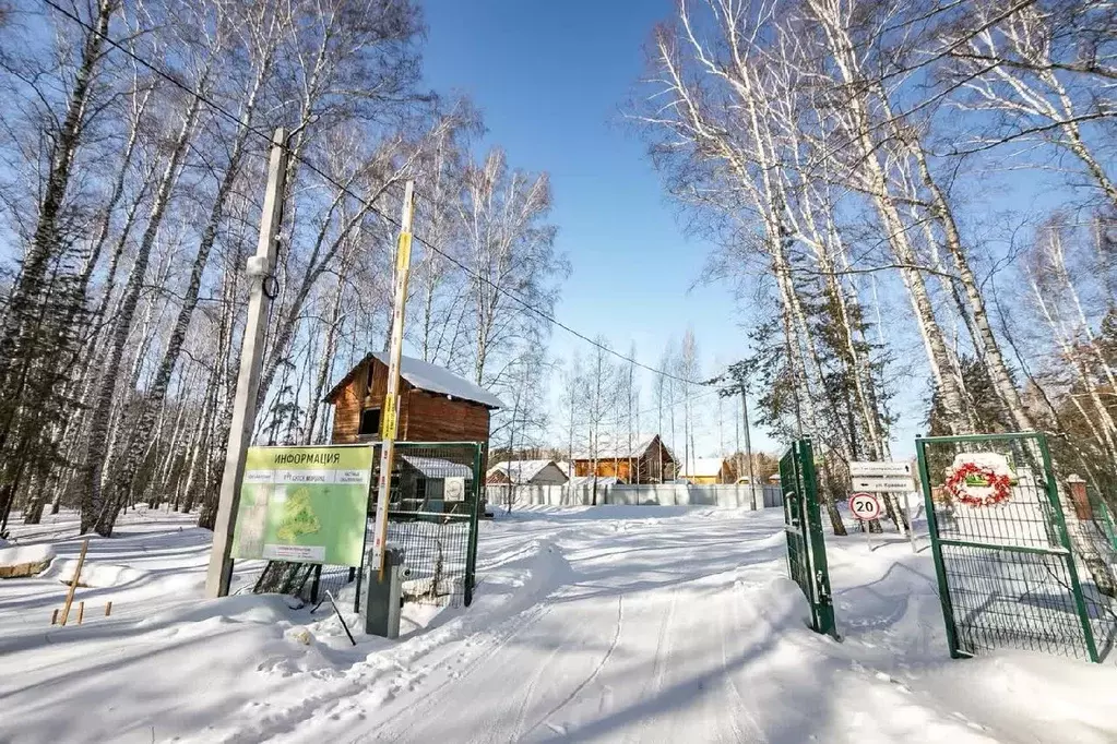 Участок в Новосибирская область, Бердск  (20.0 сот.) - Фото 0