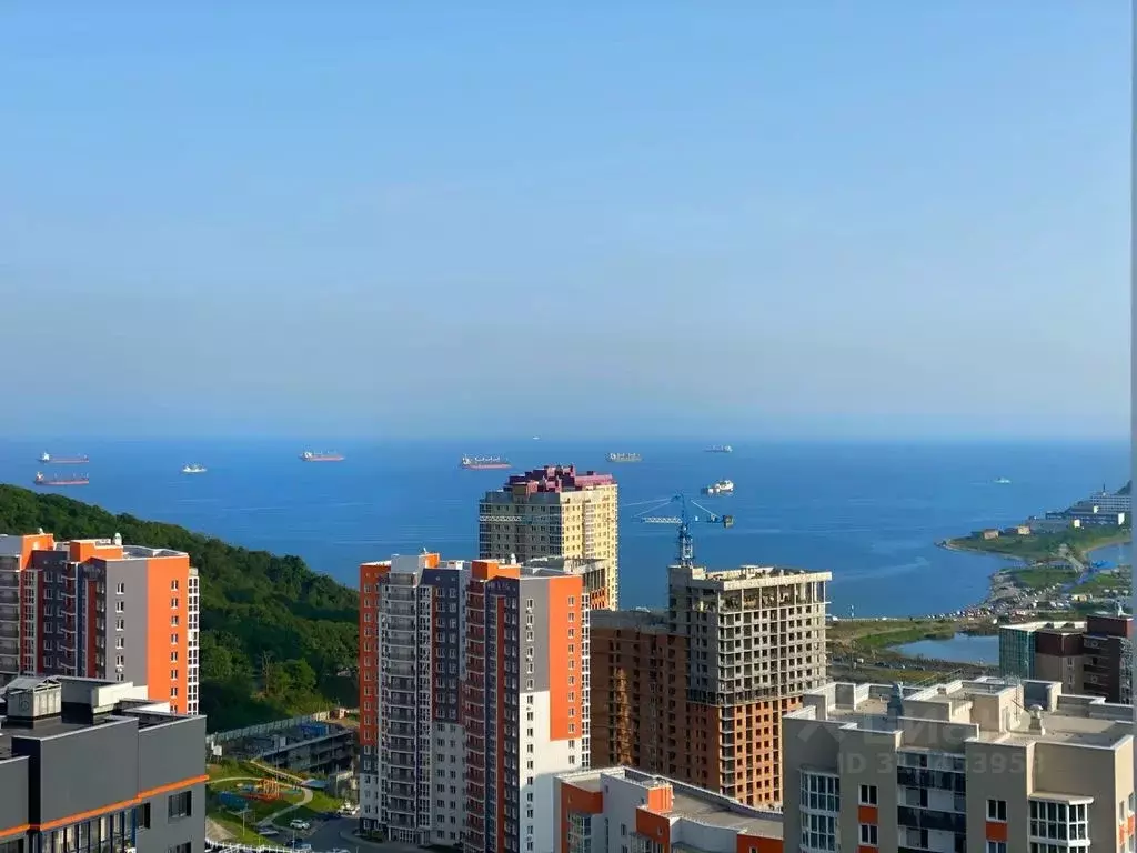 2-к кв. Приморский край, Владивосток ул. Архангельская, 29к1 (45.0 м) - Фото 1