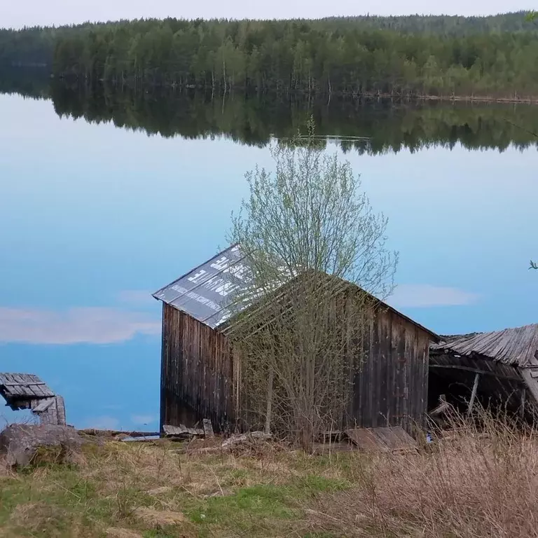 Дом в Карелия, Лоухский район, Малиновараккское с/пос, пос. Тэдино  ... - Фото 0