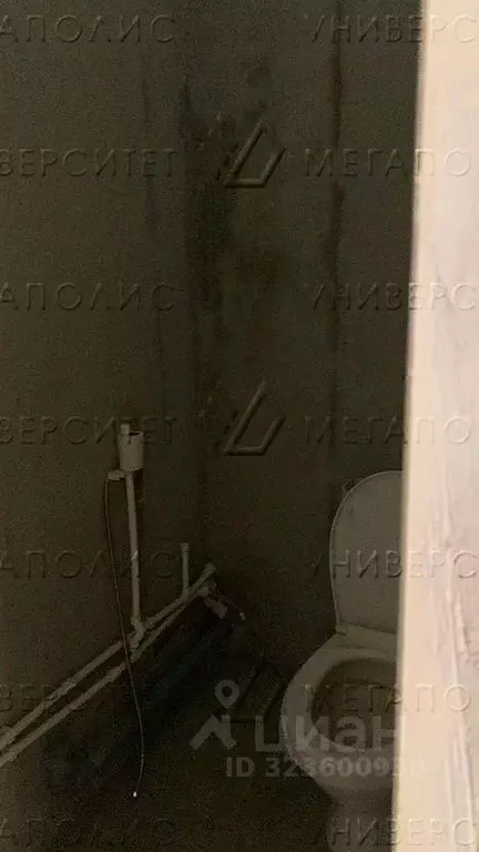 Помещение свободного назначения в Московская область, Люберцы СНТ ... - Фото 2