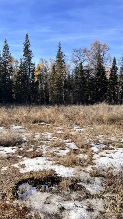 Участок в Бурятия, Улан-Удэ пос. Верхняя Березовка,  (12.2 сот.) - Фото 2