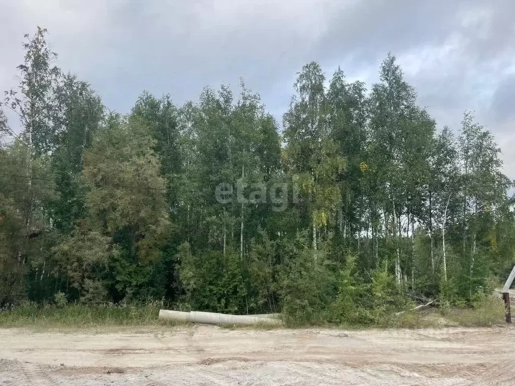 Участок в Ямало-Ненецкий АО, Надым Сады Ямала ДНТ,  (10.0 сот.) - Фото 0