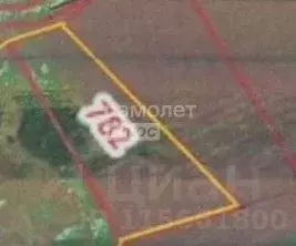 Участок в Ростовская область, Багаевский район, Манычская ст-ца ... - Фото 2