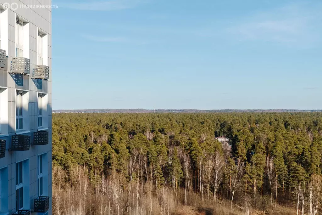 Квартира-студия: Пушкино, Ярославское шоссе, 194к1 (27.9 м) - Фото 2