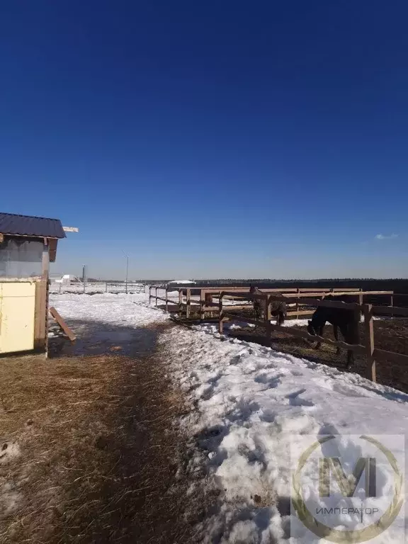 Участок в Московская область, Подольск городской округ, д. Валищево 11 ... - Фото 1