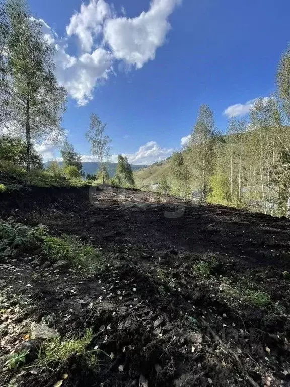 Участок в Алтай, Горно-Алтайск Динамо СНТ,  (7.3 сот.) - Фото 2