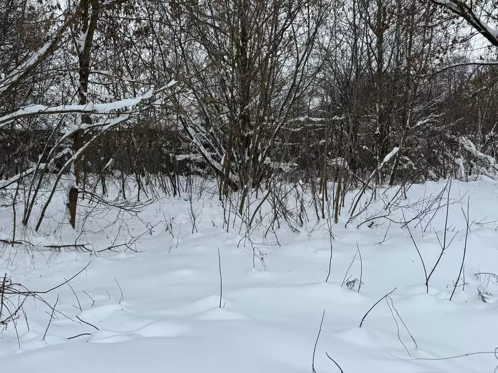 Участок в Московская область, Старая Купавна Богородский городской ... - Фото 2