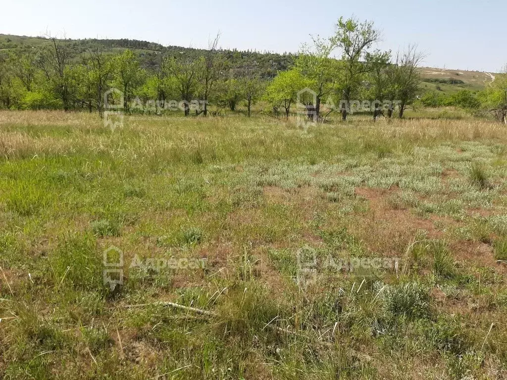 Участок в Волгоградская область, Городищенский район, Царицынское ... - Фото 2