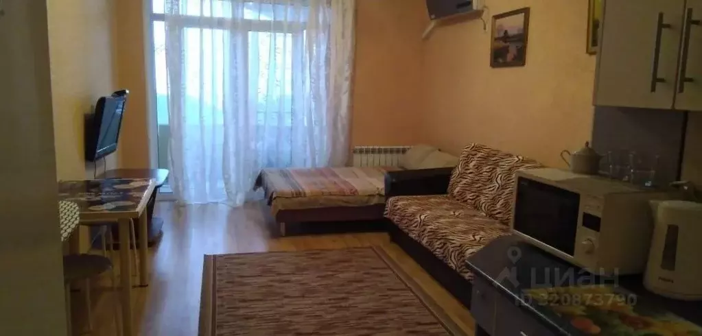 Студия Краснодарский край, Сочи Виноградная ул., 135/13 (40.0 м) - Фото 0