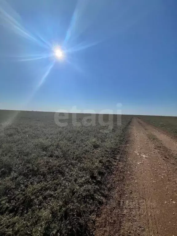 Участок в Крым, Раздольненский район, Ручьевское с/пос, с. Ручьи ул. ... - Фото 0