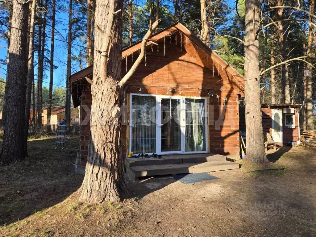 Дом в Новосибирская область, Маслянино рп ул. Дорожная (80 м) - Фото 1