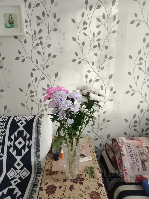 2-к кв. Владимирская область, Струнино г. Александровский ... - Фото 1