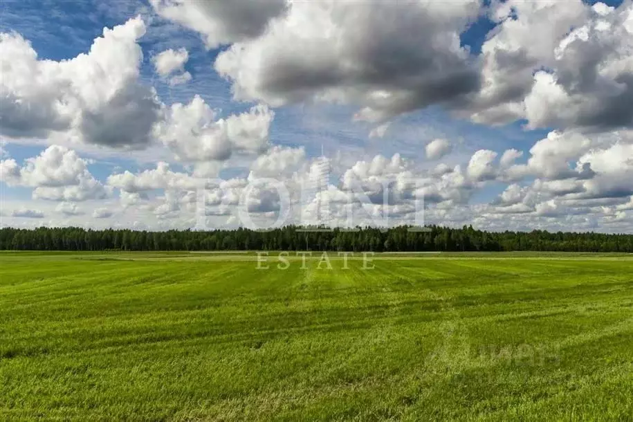 Участок в Московская область, Одинцовский городской округ, д. Дарьино, ... - Фото 0