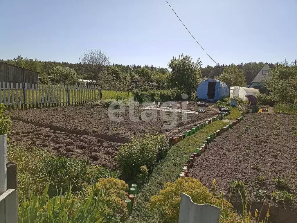 Участок в Брянская область, Брянский район, Нетьинское с/пос, Весна ... - Фото 1